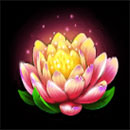 Mega Drago Symbol Flower